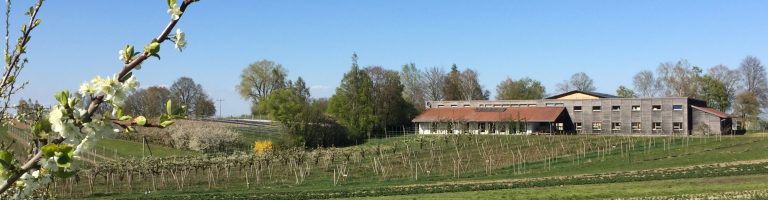 Betreibundsued Bluete 768x200