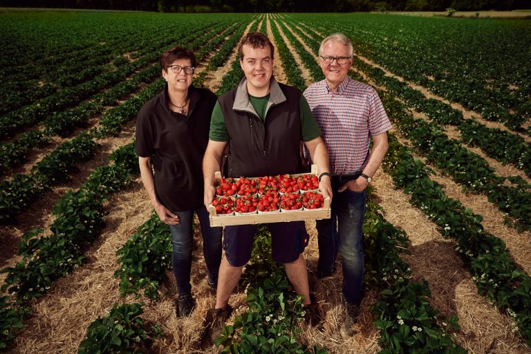 Dellbruegge 020 768x512