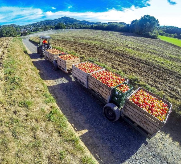 FB IMG 1606300160904 1 768x695