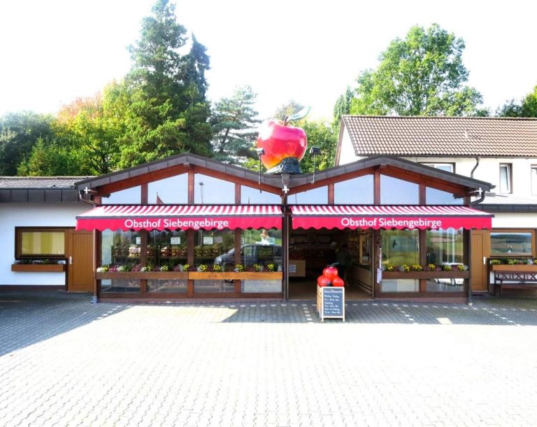 FB IMG 1609426261324 1 768x610