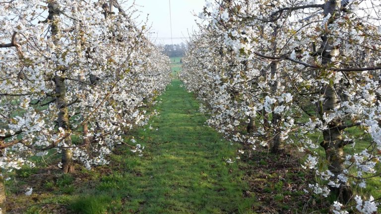 081339ed 5735 40a1 82ae 8df79bc7086c 768x432