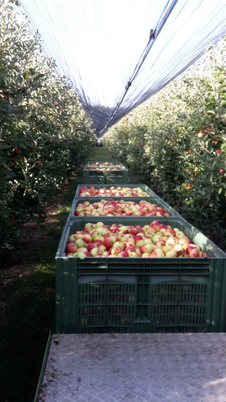 2923af88 b287 44d2 92a4 6fff8217dbda 768x1365