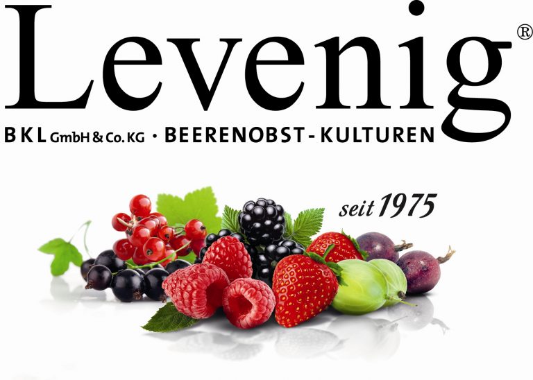 Logo Levenig RZ 768x548