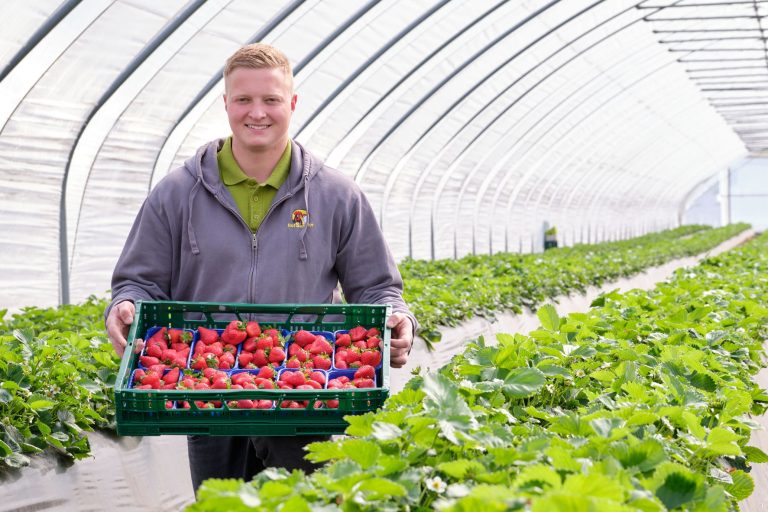 Henrik in Erdbeeren 768x512