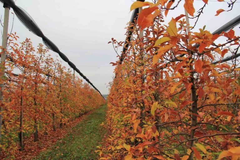 957125CF A96C 4AFA AD2F BD2FFD242113 768x512