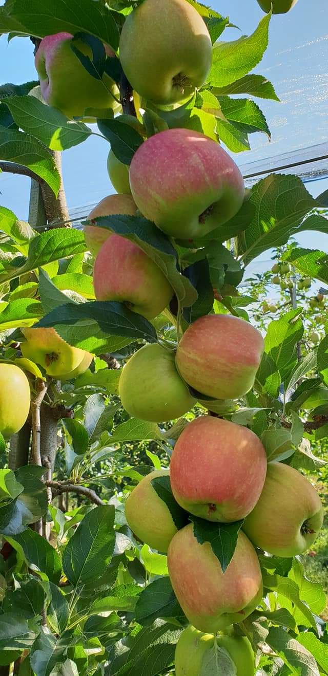 FB IMG 1664260701186