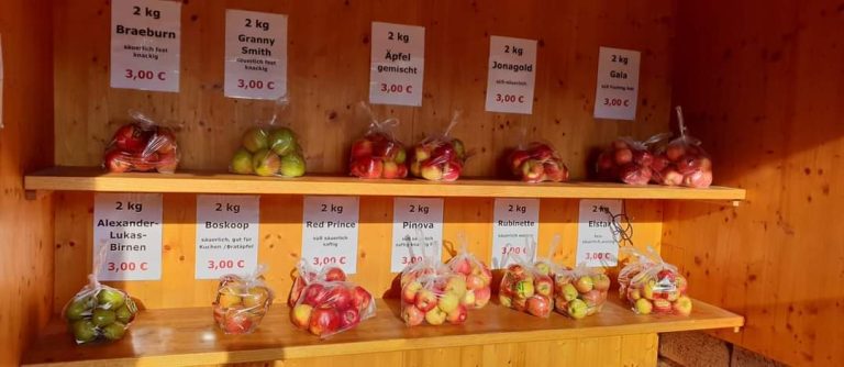 FB IMG 1664260752346 768x334