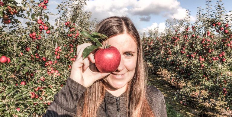 Profil Ernte 2017 768x387