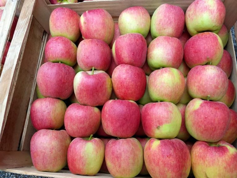 FB IMG 1674544026890 768x576