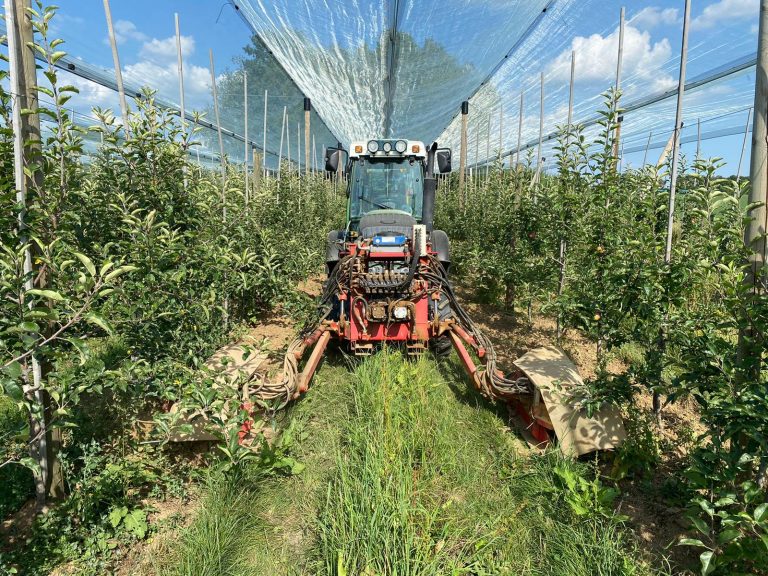 IMG 20200807 WA0014 768x576