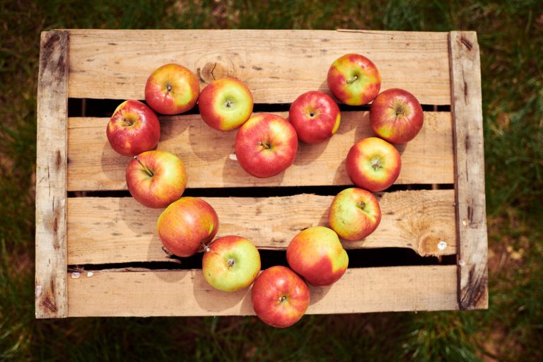 fotografie christian horn de H85 1307 Kopie 768x512