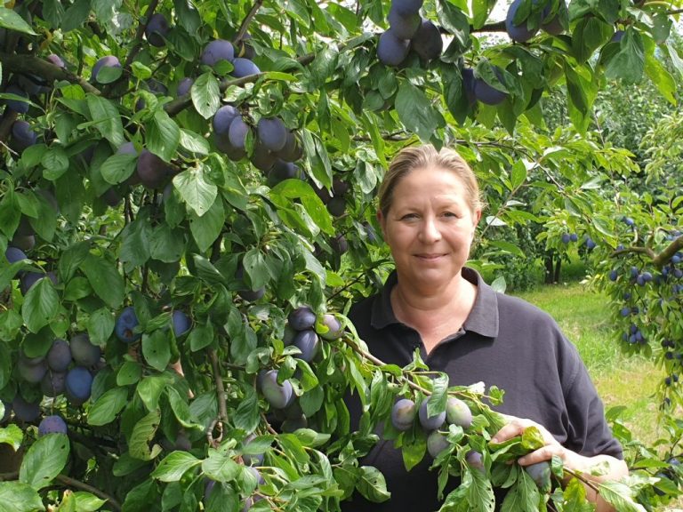 2023 20190807 133351 768x576