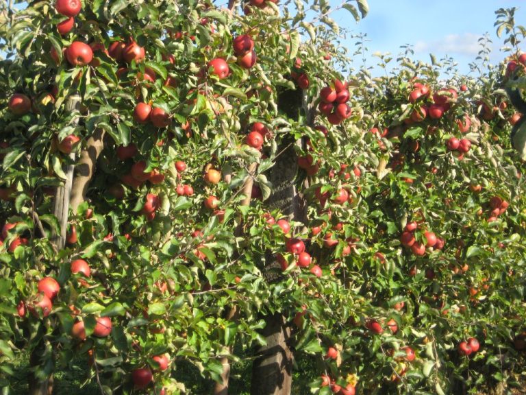 2023 IMG 0067 768x576