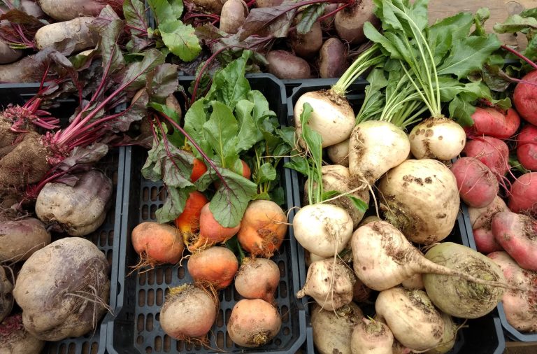 Herbst 2022 7 768x506