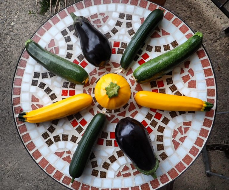 IMG 20220627 201025 362 768x638