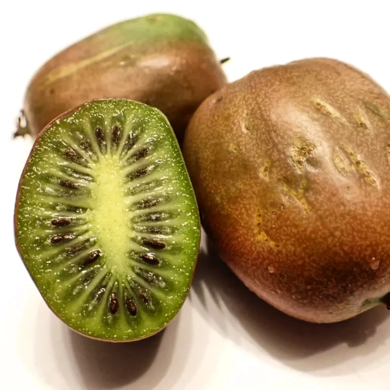 IMG 20221003 212225 954 768x768